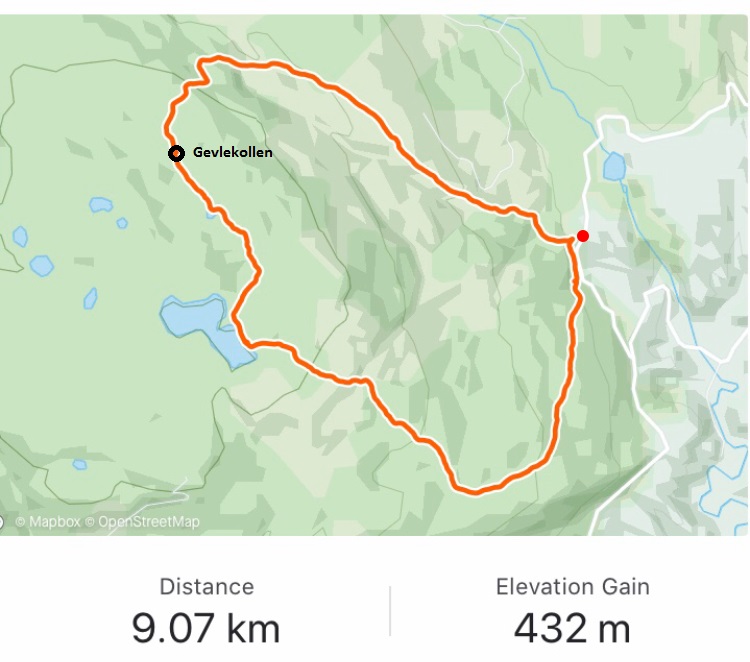 Rundtur tilGevlekollen.